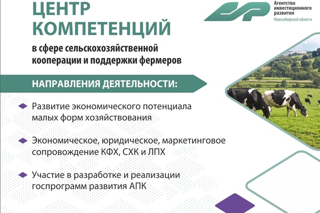 Новосибирские фермеры в 2019 году получат гранты и поддержку сельхозккооперации